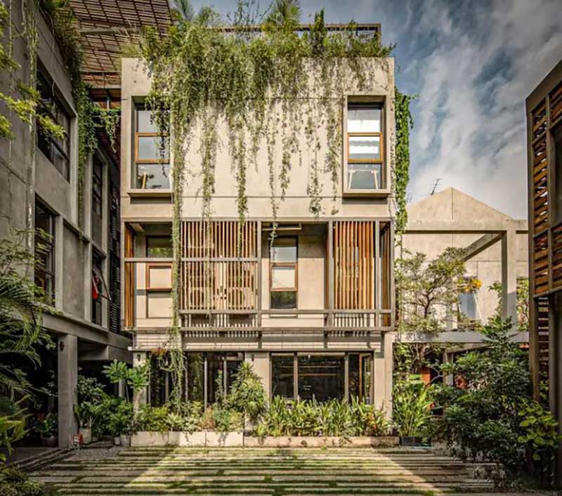 C&acirc;y xanh trong nội thất nh&agrave; phố phong c&aacute;ch indochine