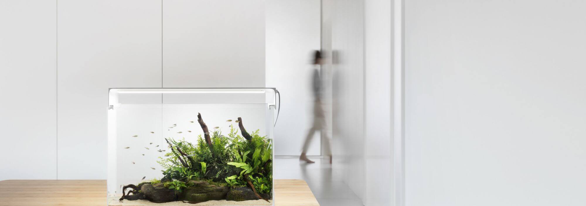 Thiết kế nội thất cho văn phòng công ty - Showroom đẹp cao cấp tại TP.HCM